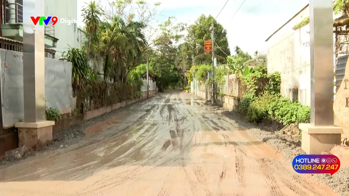 pnhn-0612-alov9 3.jpg