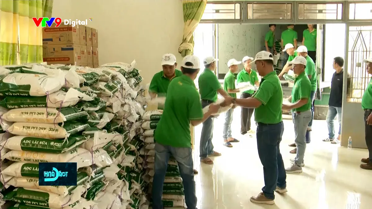 tc24h-0612-2 vtv9 kết nối doanh nghiệlp.jpg