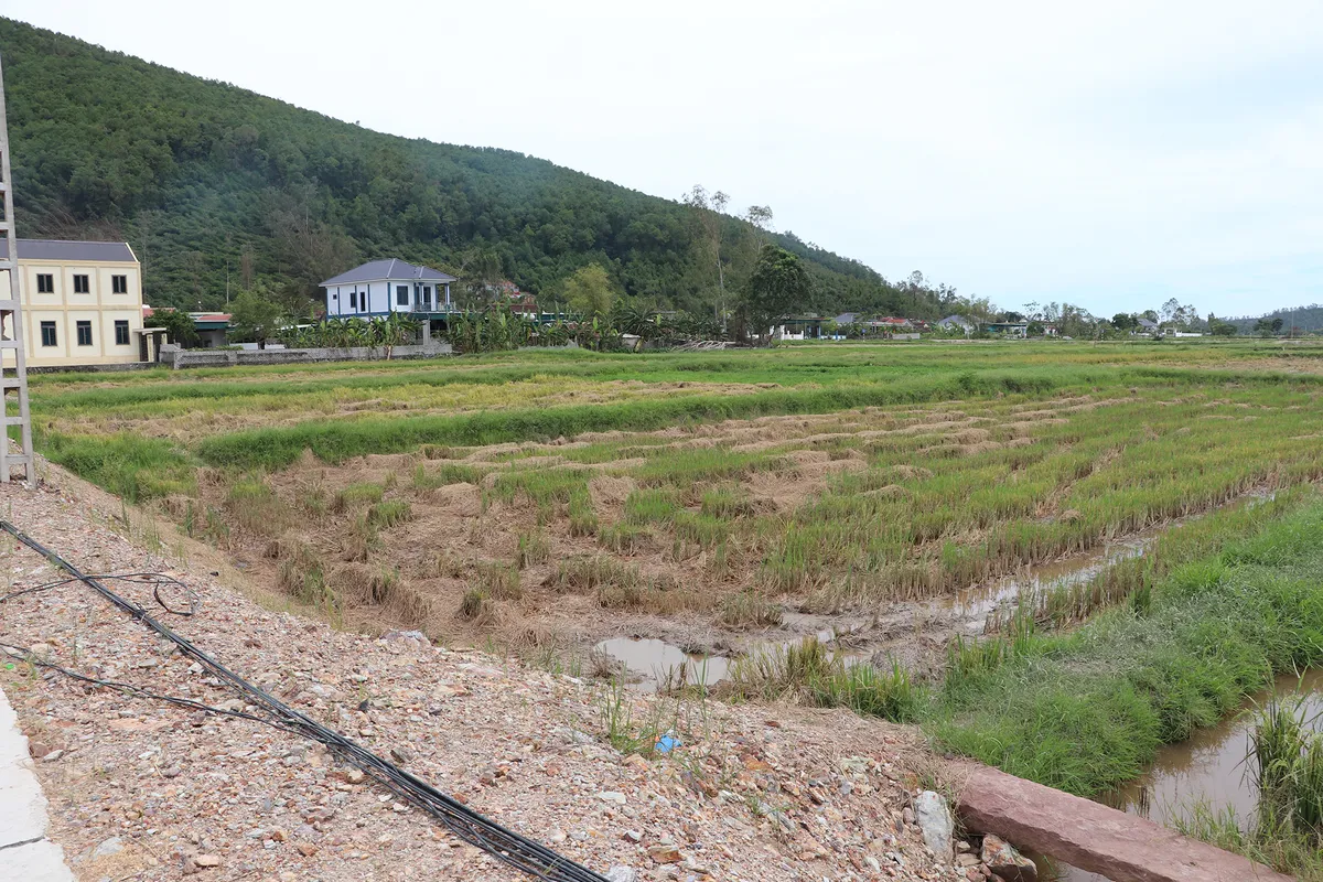 Nghệ An: Tập trung thực hiện bồi thường, hỗ trợ và tái định cư dự án đường sắt tốc độ cao trên trục Bắc – Nam - Ảnh 1.