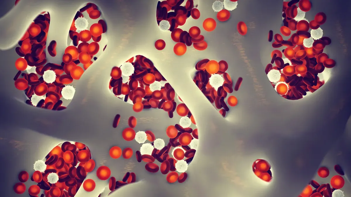 Một số ca cấy ghép tế bào gốc có khả năng chữa khỏi HIV đã đánh dấu một bước tiến quan trọng trong cuộc chiến chống HIV/AIDS.