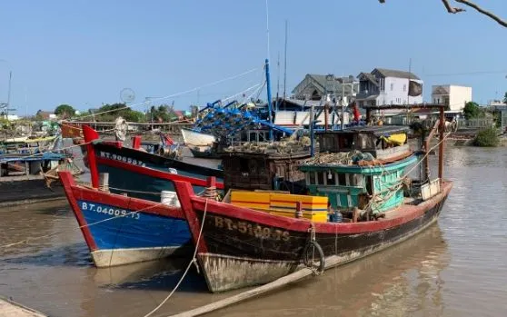 Tàu cá trên địa bàn TP Cần Thơ neo đậu an toàn. Ảnh: Báo Cần Thơ