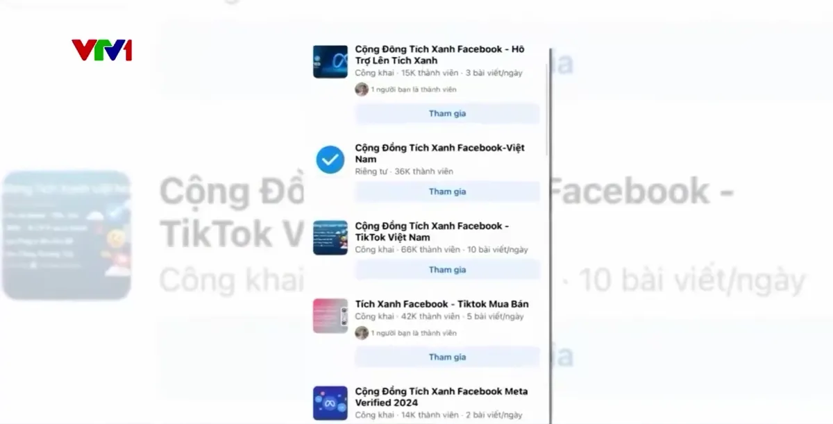 Bùng nổ giả mạo tích xanh: Người dùng mạng xã hội đối mặt nguy cơ lừa đảo - Ảnh 3.