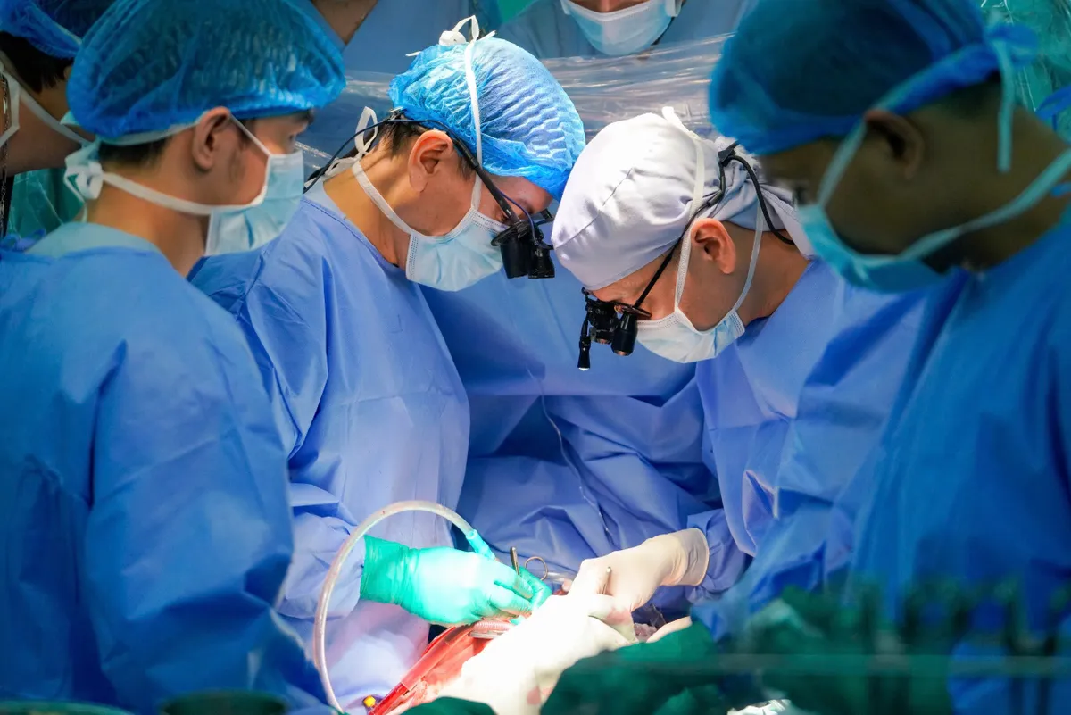 Khoảnh khắc đẹp tuần qua (1-7/12): Khi sự tử tế lan tỏa từ trái tim đến trái tim - Ảnh 1.