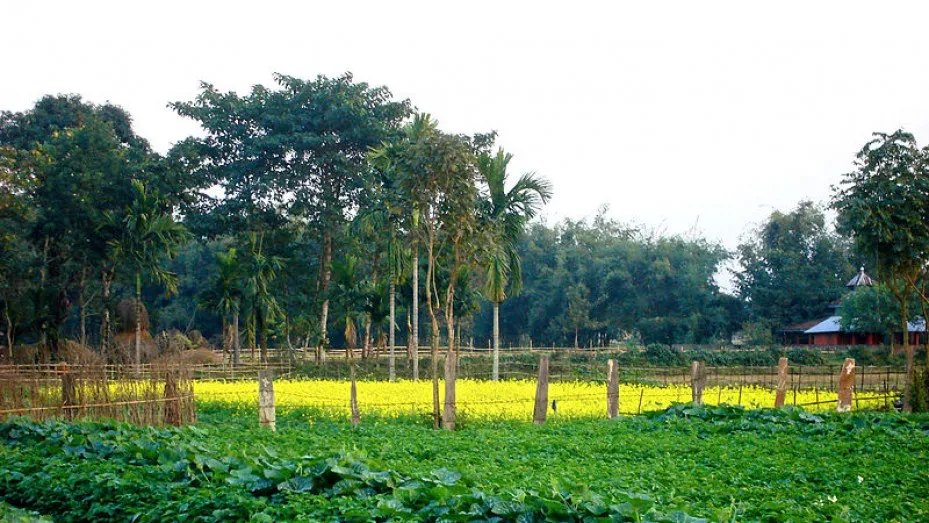 Giảm 70% tiền chuyển đổi đất n&ocirc;ng nghiệp: Cứu c&aacute;nh an sinh hay rủi ro đầu cơ đất?- Ảnh 3.