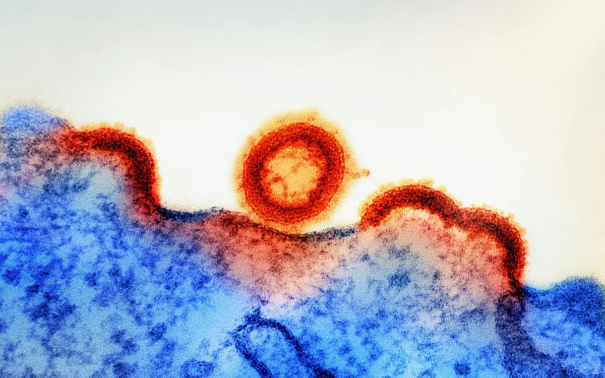 (Ảnh minh họa: Unsplash)