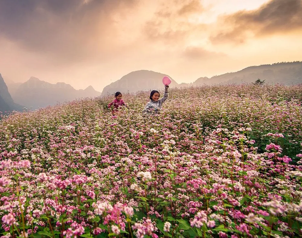 H&agrave; Giang: Kh&uacute;c ca đ&aacute; nở hoa th&agrave;nh kiệt t&aacute;c văn h&oacute;a h&agrave;ng đầu thế giới- Ảnh 2.