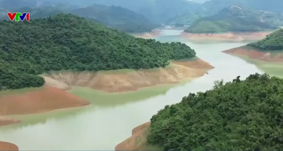 1 tỷ cây xanh - Nền móng sinh kế bền vững - Ảnh 1.