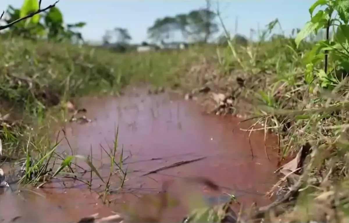 Th&aacute;i Nguy&ecirc;n: Nỗi lo từ c&aacute;c n&uacute;i b&atilde;i thải nằm cạnh khu d&acirc;n cư - Ảnh 2.