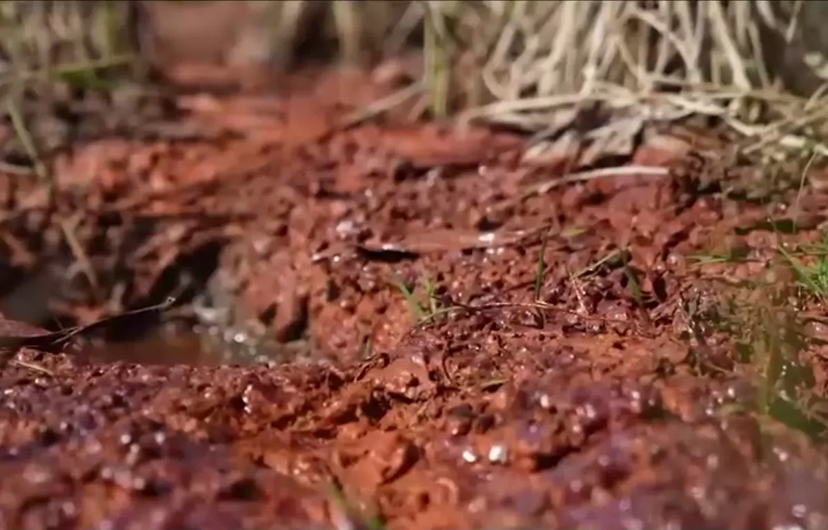 Th&aacute;i Nguy&ecirc;n: Nỗi lo từ c&aacute;c n&uacute;i b&atilde;i thải nằm cạnh khu d&acirc;n cư - Ảnh 1.