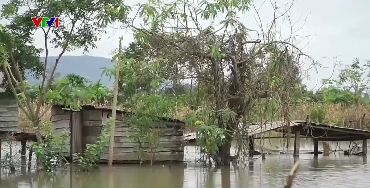 Gia Lai: Hàng chục căn nhà vẫn ngập sâu - Ảnh 3.