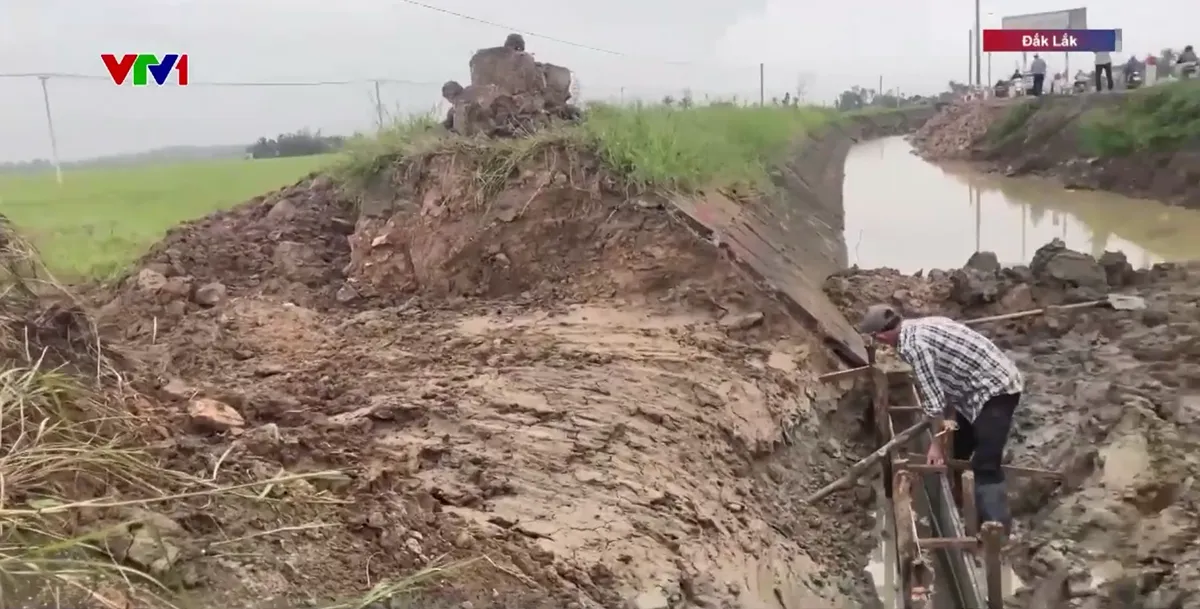 Nỗ lực khôi phục hệ thống thủy lợi sau lũ ở Đắk Lắk - Ảnh 2.