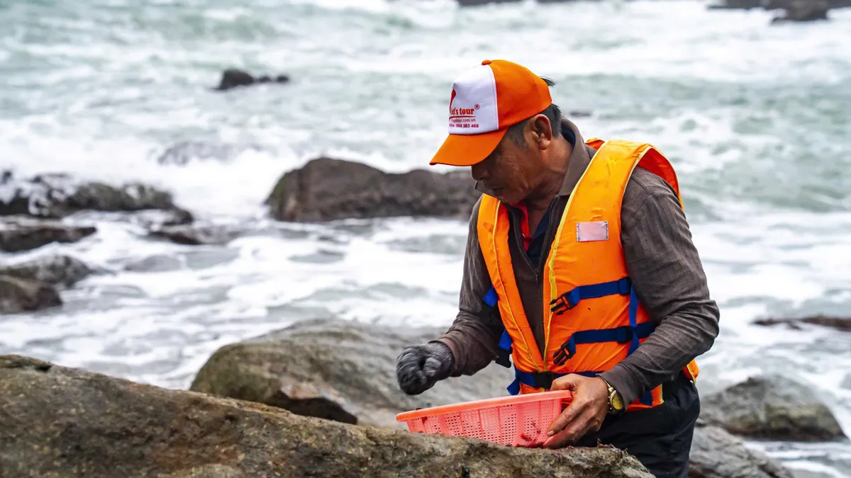 Gian nan nhặt “vàng đen” mùa biển động - Ảnh 2.