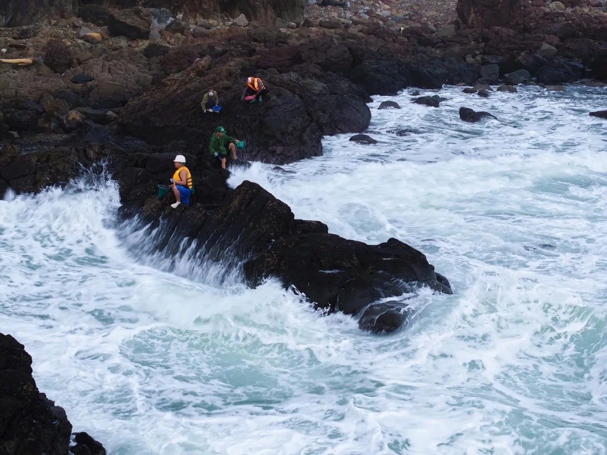 Gian nan nhặt “vàng đen” mùa biển động - Ảnh 1.