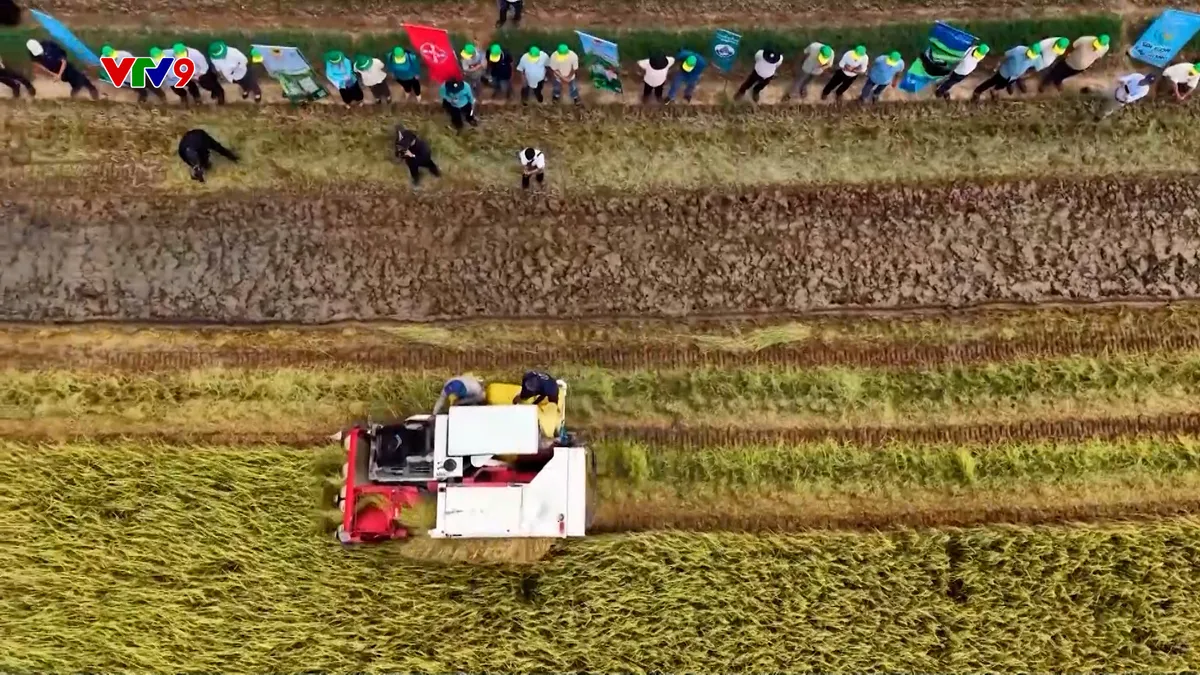 Ấn Độ: "Khói độc" thành lợi nhuận