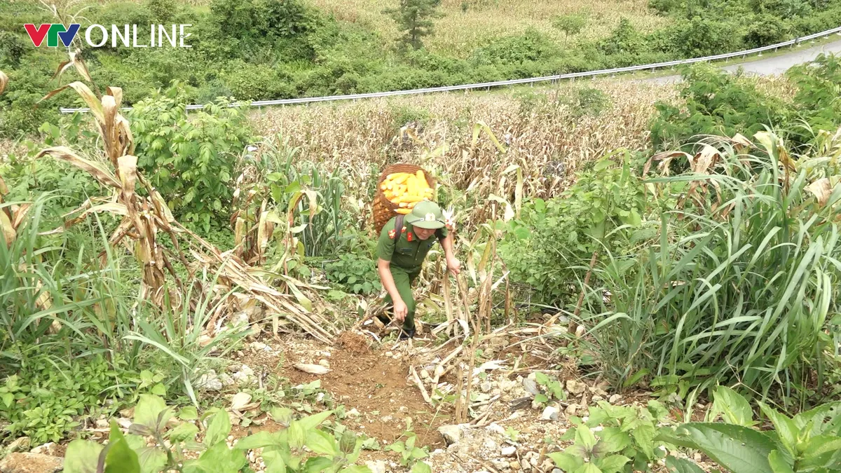 Công an xã Pa Tần (Lai Châu): Giữ bình yên từ những việc làm giản dị theo lời Bác - Ảnh 6.