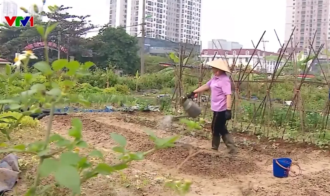 Gỡ vướng dự án công viên chậm tiến độ: Giải “cơn khát” không gian xanh cho Thủ đô - Ảnh 1.