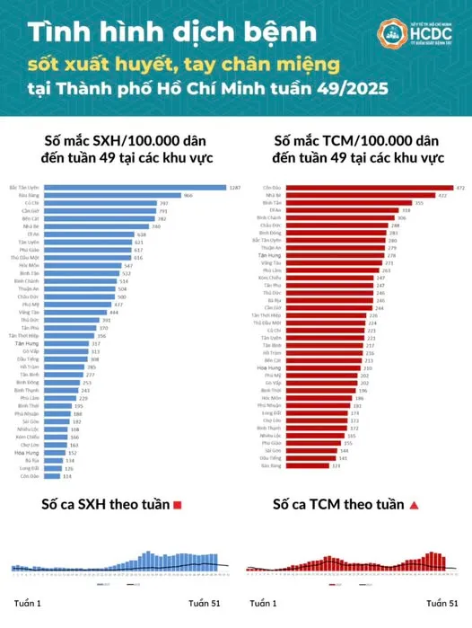 TP Hồ Chí Minh ghi nhận thêm hơn 3.500 ca sốt xuất huyết và tay chân miệng - Ảnh 1.