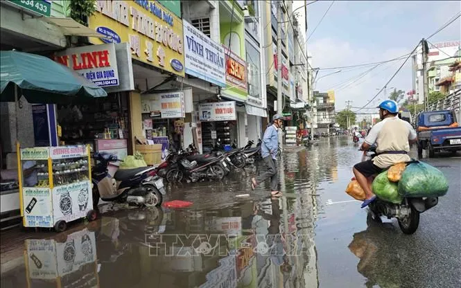 Một phần tuyến đường Trưng Nhị (Cà Mau) bị ngập do triều cường. Ảnh tư liệu: Kim Há/TTXVN