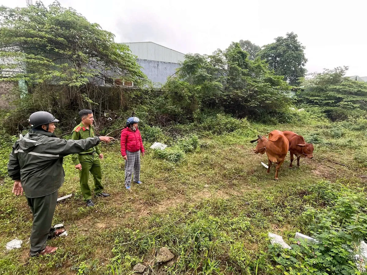Vừa ra tù được 2 tháng lại tiếp tục trộm cắp bò của người dân- Ảnh 2. Vừa ra tù được 2 tháng lại tiếp tục trộm cắp bò của người dân- Ảnh 2.