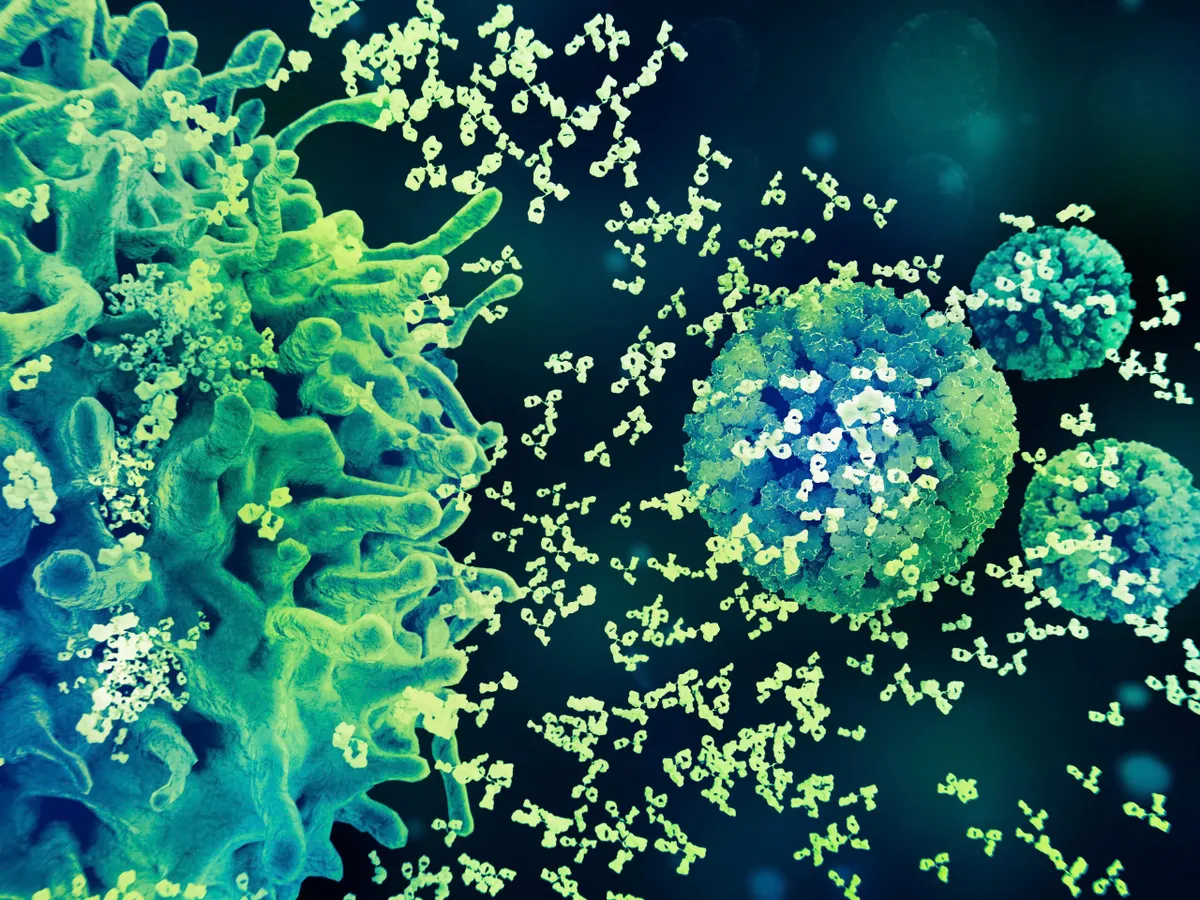 Phòng ngừa HPV- Tầm quan trọng của tiêm chủng đủ liều đúng lịch- Ảnh 1. Phòng ngừa HPV- Tầm quan trọng của tiêm chủng đủ liều đúng lịch- Ảnh 1.