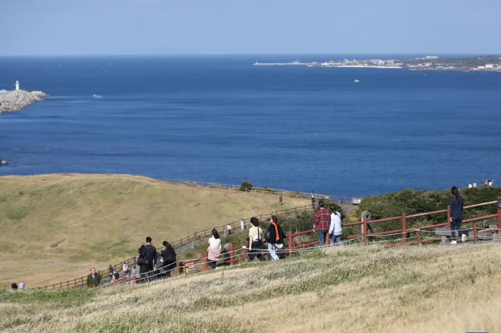 Một đoàn du khách Trung Quốc thăm đảo Jeju, Hàn Quốc vào tháng 11/2023.