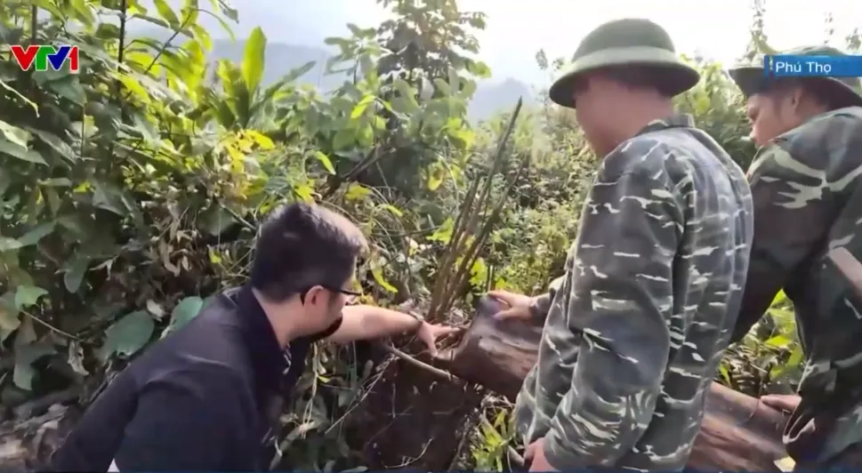 Lo ngại khai th&aacute;c đ&aacute; ảnh hưởng rừng tự nhi&ecirc;n - Ảnh 2.