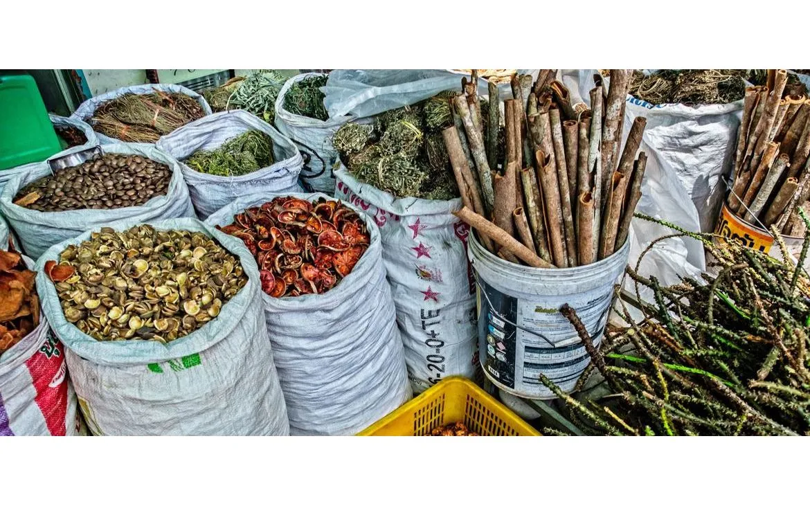 (Ảnh minh họa: WHO)