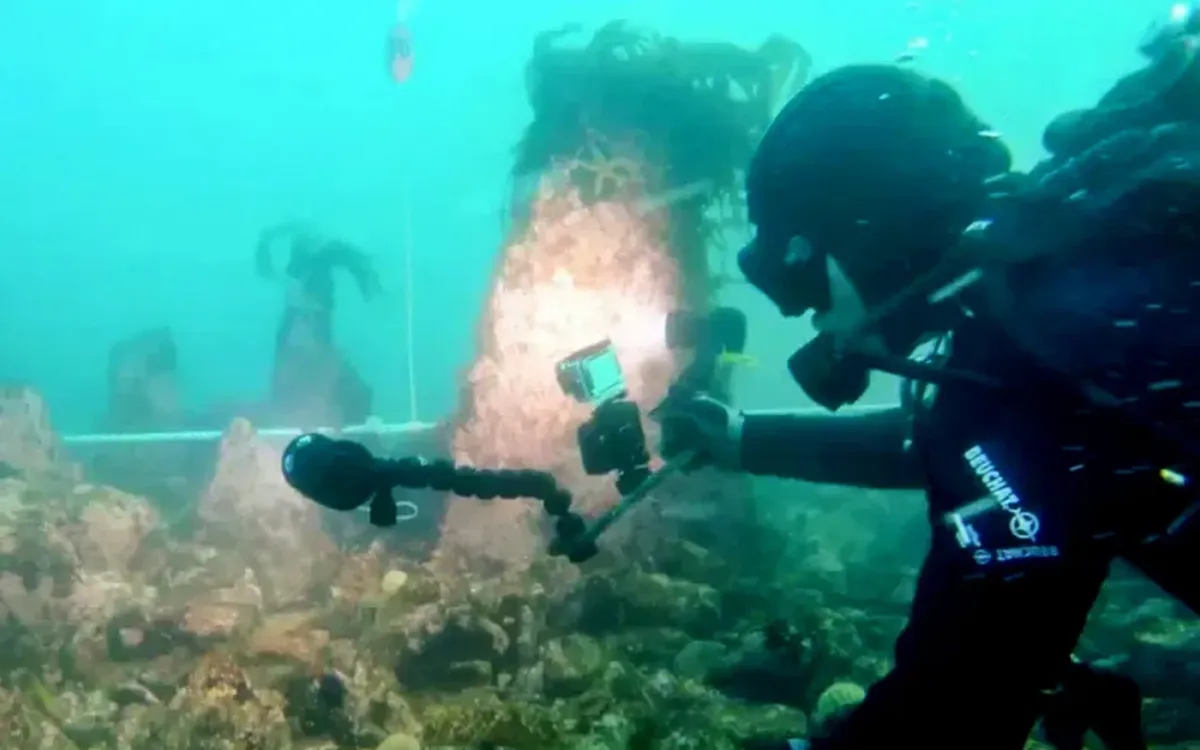 (Ảnh: Hal Open Science)