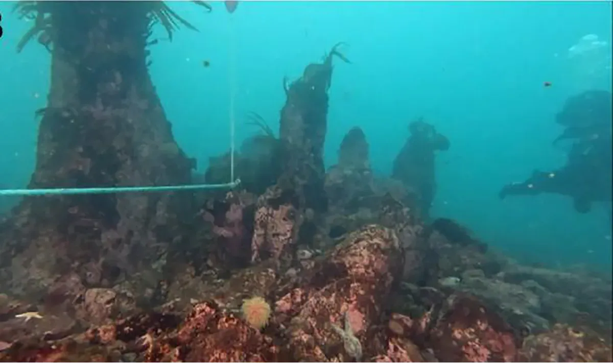 Ph&aacute;t hiện bức tường cổ ni&ecirc;n đại 7.000 năm dưới đ&aacute;y biển nước Ph&aacute;p - Ảnh 1.