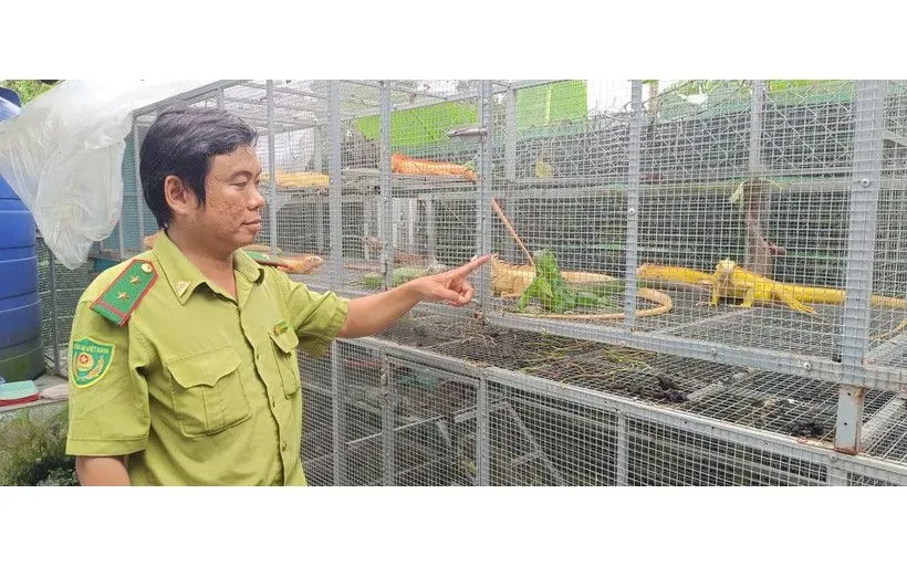 Nóng trên mạng tuần qua (8-14/12): Nhiều vụ việc gây bức xúc dư luận - Ảnh 3.