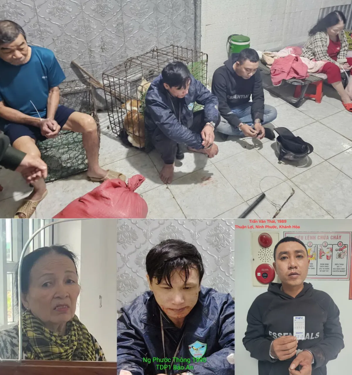 Khởi tố 3 đối tượng trong đường d&acirc;y trộm ch&oacute; ở Kh&aacute;nh H&ograve;a - Ảnh 1.