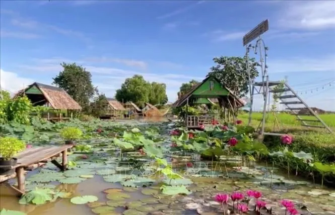 Du lịch s&ocirc;ng nước v&agrave; biển đảo: Tầm nh&igrave;n li&ecirc;n v&ugrave;ng l&agrave; ch&igrave;a kh&oacute;a mở kh&oacute;a tiềm năng cạnh tranh quốc tế- Ảnh 3.