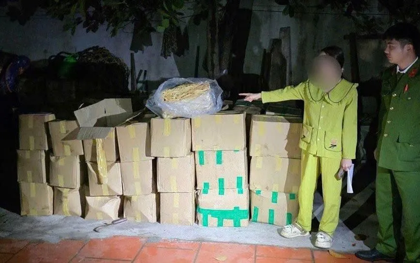 Nhiều thùng carton bên trong chứa lòng lợn đã qua sơ chế