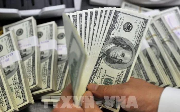  Nhân viên kiểm đồng USD tại một ngân hàng ở Seoul, Hàn Quốc. (Ảnh: AFP/TTXVN).