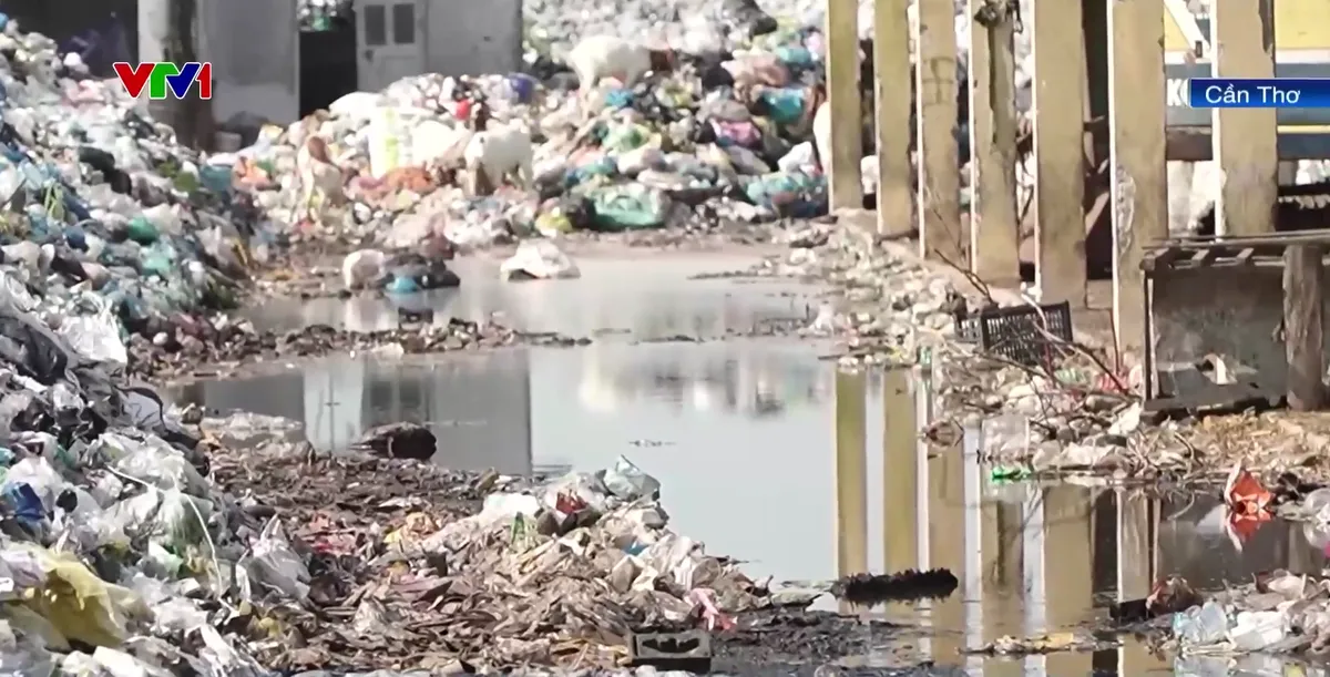 B&atilde;i r&aacute;c g&acirc;y &ocirc; nhiễm m&ocirc;i trường tại Cần Thơ - Ảnh 1.