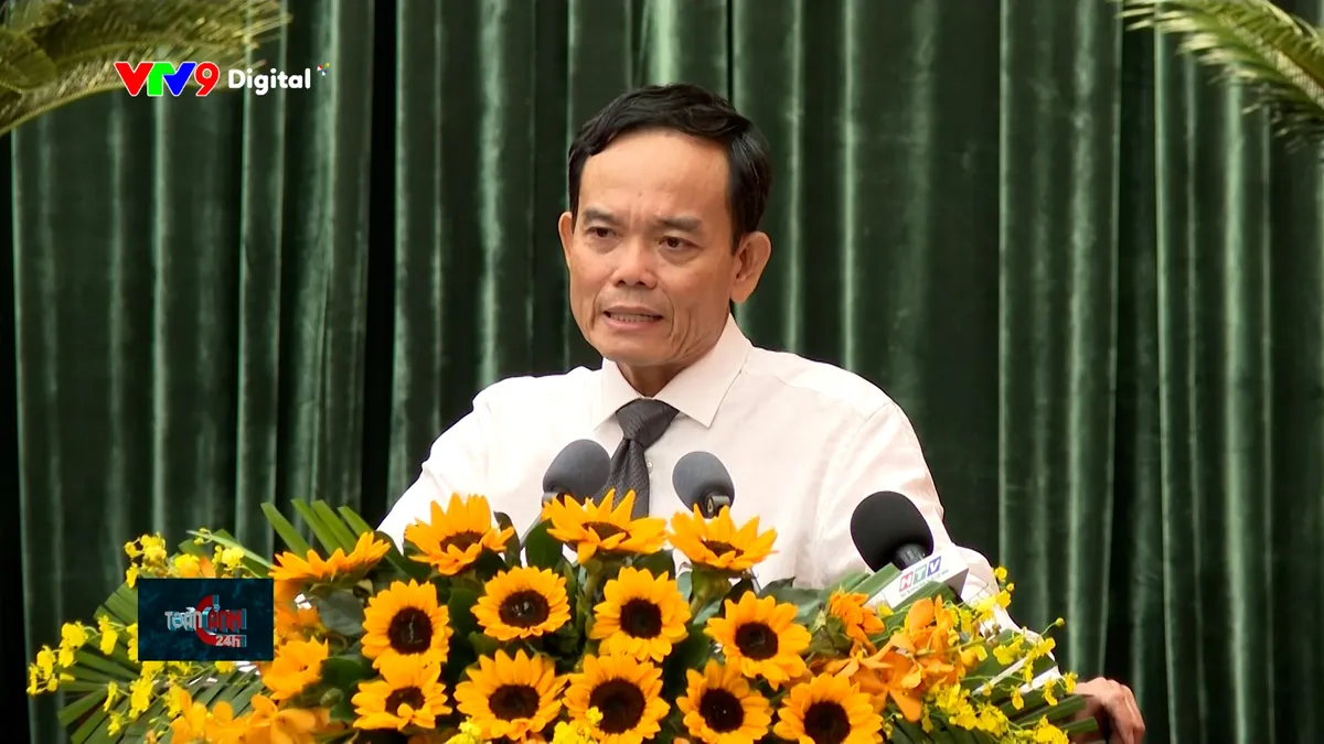 tc24h-1512-2 trần lưu quang.jpg