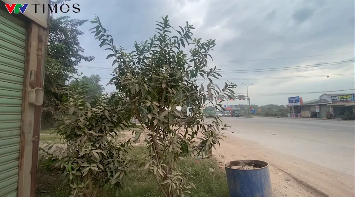 Đồng Nai: Xe ben mỏ đ&aacute; ho&agrave;nh h&agrave;nh g&acirc;y bụi m&ugrave; mịt ra m&ocirc;i trường- Ảnh 5.