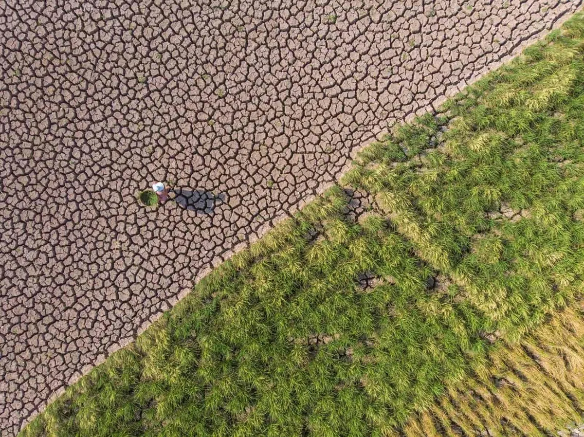 Trung Quốc chuẩn bị chịu t&aacute;c động của La Nina- Ảnh 1.