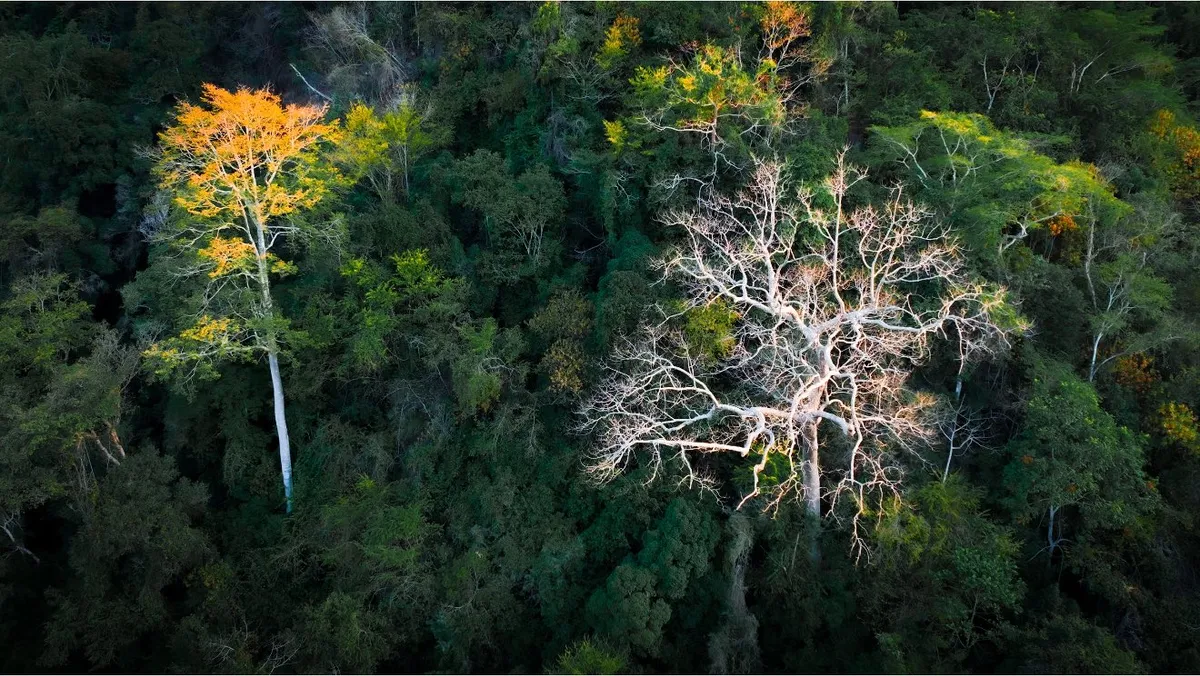 Lũng Cú – Tuyên Quang: Bản tình ca hoang sơ của đá và thác- Ảnh 1. Lũng Cú – Tuyên Quang: Bản tình ca hoang sơ của đá và thác- Ảnh 1.