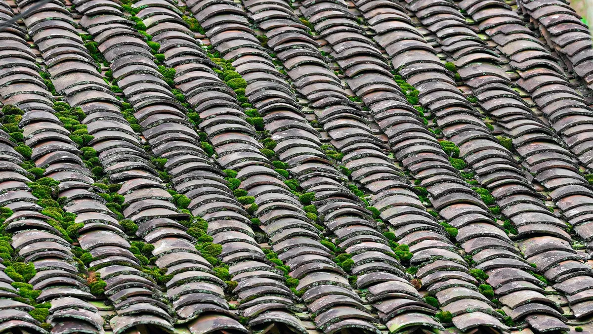 M&aacute;i ng&oacute;i &acirc;m dương: Linh hồn trong kiến tr&uacute;c nh&agrave; ở của người d&acirc;n tộc Lạng Sơn- Ảnh 2.