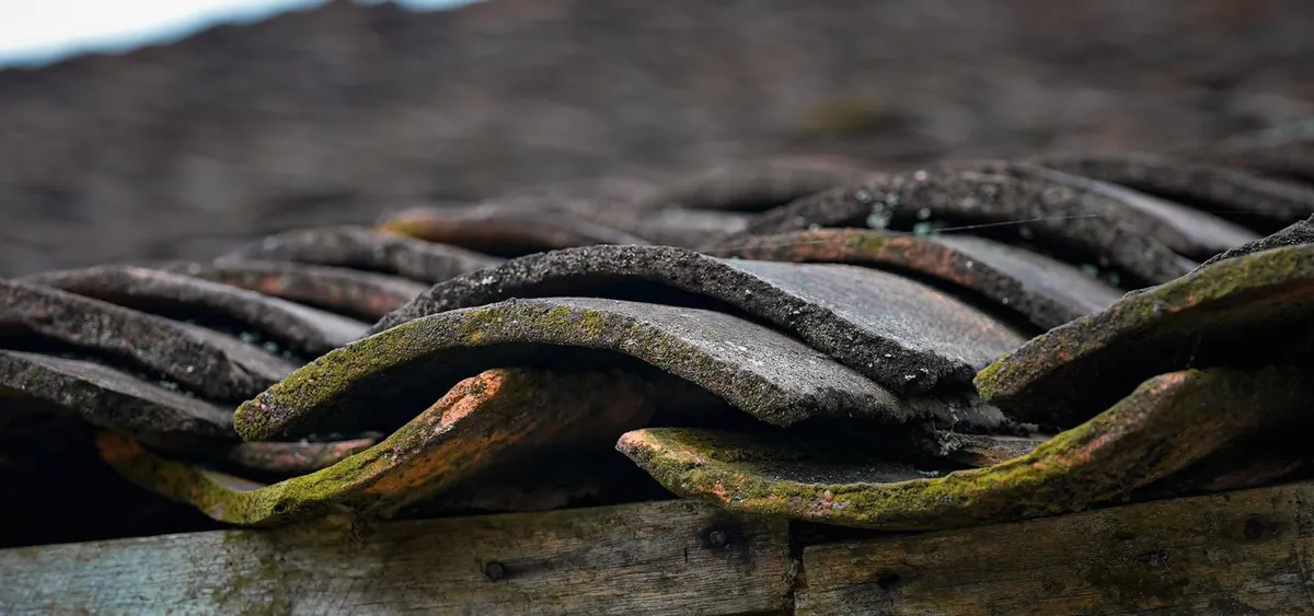 M&aacute;i ng&oacute;i &acirc;m dương: Linh hồn trong kiến tr&uacute;c nh&agrave; ở của người d&acirc;n tộc Lạng Sơn- Ảnh 1.