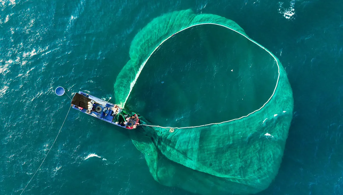 Chiều An Ninh Đ&ocirc;ng: Bản t&igrave;nh ca giữa đ&aacute; v&agrave; đại dương Ph&uacute; Y&ecirc;n- Ảnh 4.