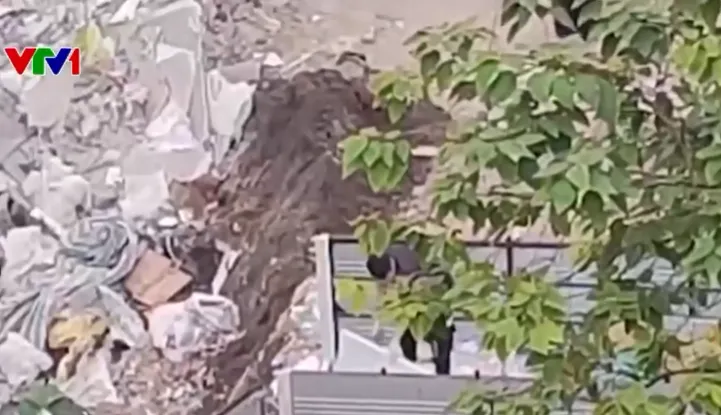 NGANG NHI&Ecirc;N ĐỔ VẬT LIỆU PHẾ THẢI TR&Aacute;I PH&Eacute;P - Ảnh 2.