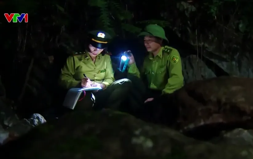 Những bước chân giữ rừng của nữ kiểm lâm nơi đại ngàn - Ảnh 1.