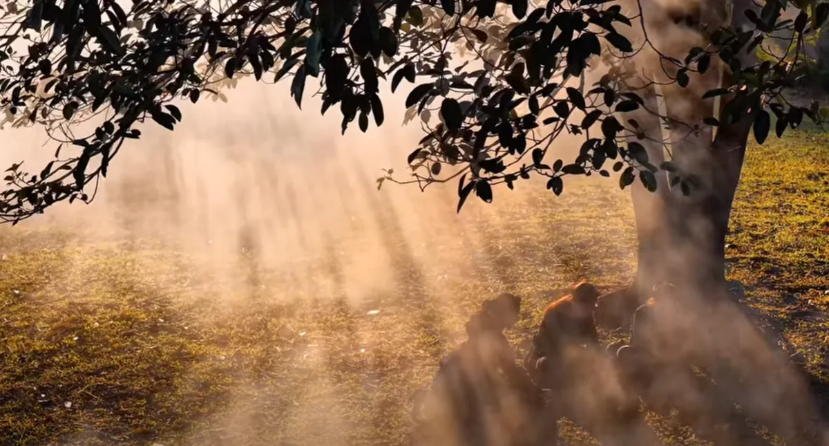 L&agrave;ng văn h&oacute;a Quỳnh Sơn: Sắc m&agrave;u bản sắc dưới ch&acirc;n n&uacute;i đ&aacute; Bắc Sơn- Ảnh 2.