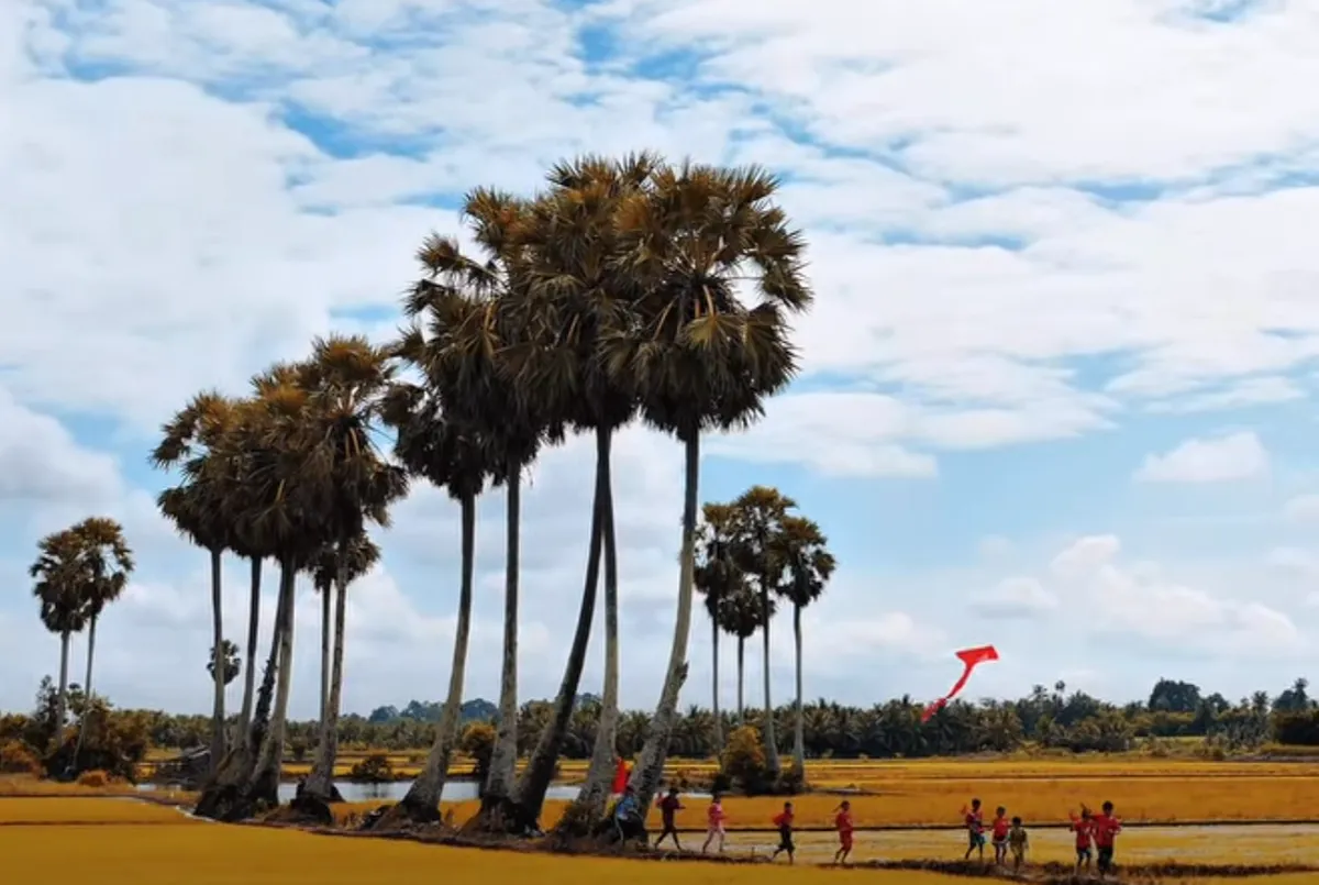 Tr&agrave; C&uacute;: Miền t&acirc;m linh rực rỡ sắc m&agrave;u giữa l&ograve;ng Tr&agrave; Vinh- Ảnh 1.