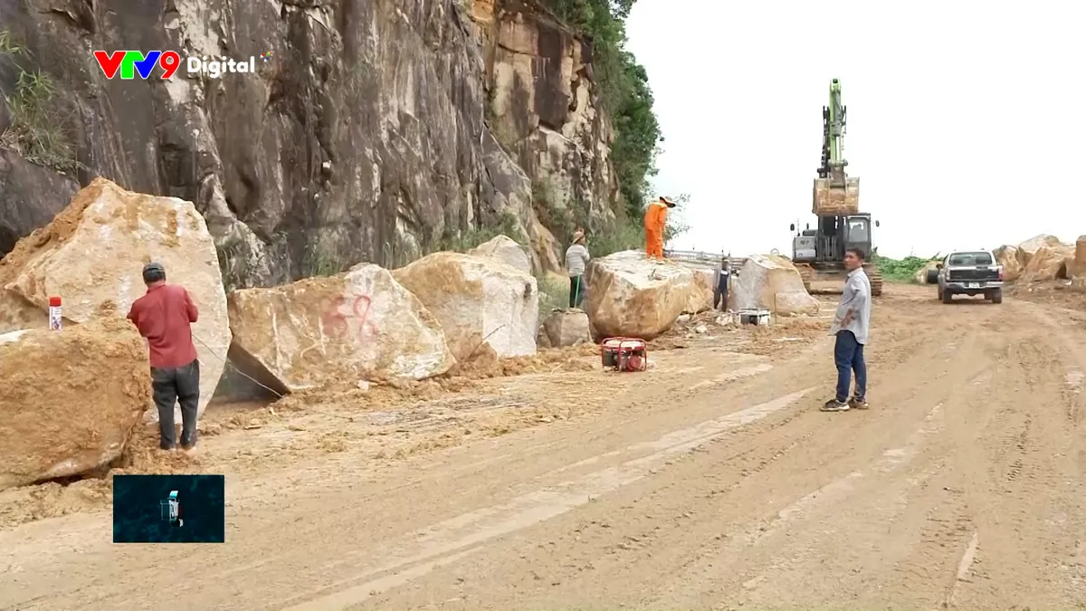 tc24h-1612-1 111.jpg