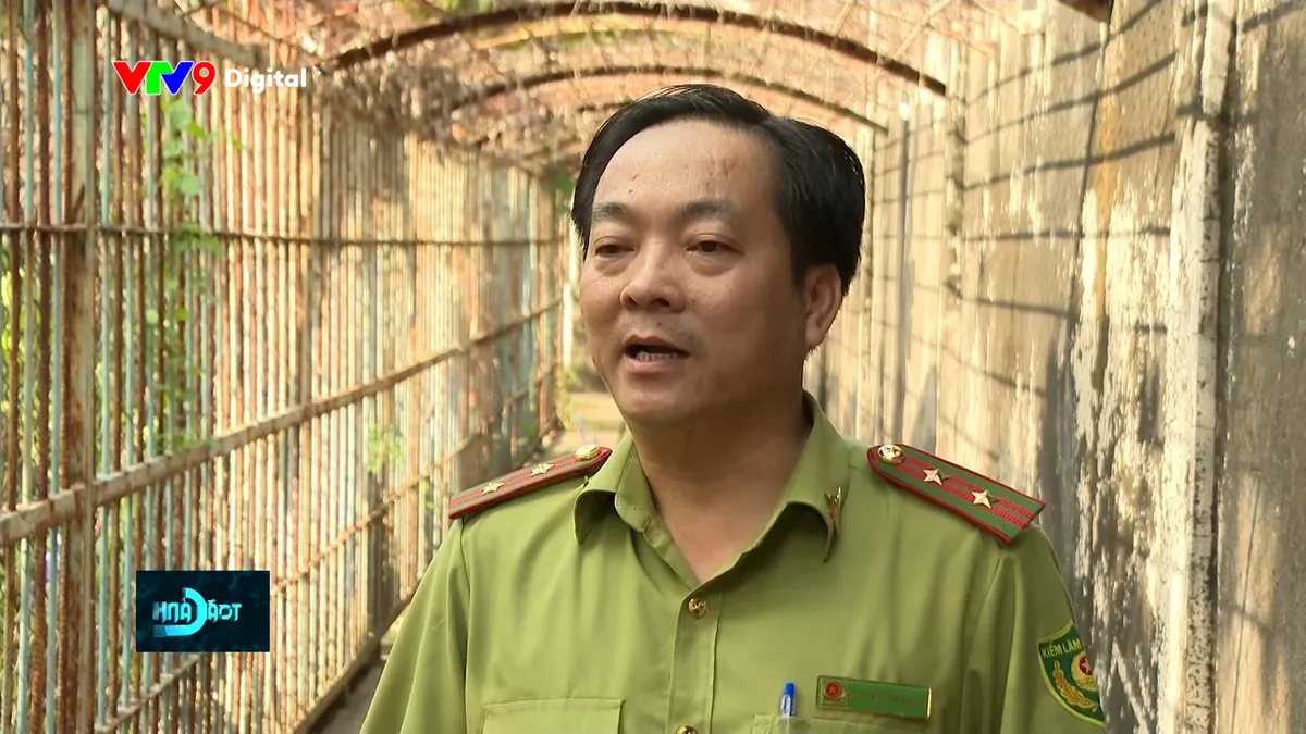 tc24h-1612-4 ng bình dương.jpg