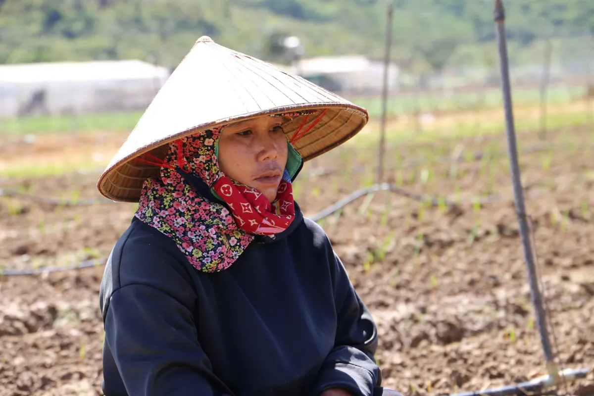 L&acirc;m Đồng gồng m&igrave;nh cứu vớt &ldquo;thủ phủ&rdquo; hoa lay ơn sau 5 đợt lũ li&ecirc;n tiếp - Ảnh 5.