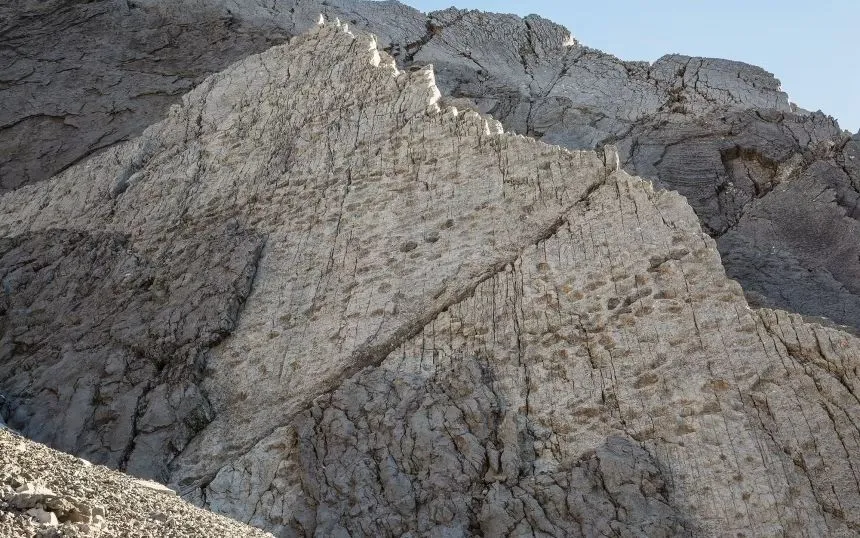 Hình ảnh ghi lại hàng nghìn dấu chân khủng long tại Công viên quốc gia Stelvio, Italy (Ảnh: Elio Della Ferrera/Arch. PaleoStelvio)